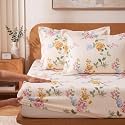 VAS COLLECTIONS 240 TC Premium Fitted Bedsheet