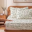 VAS COLLECTIONS 240 TC Premium Fitted Bedsheet