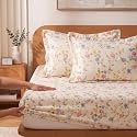 VAS COLLECTIONS 240 TC Premium Fitted Bedsheet