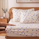 VAS COLLECTIONS 240 TC Premium Fitted Bedsheet