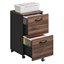 VASAGLE 2-Drawer File Cabinet, Small Rolling Filing Cabinet for Home Office, Printer Stand, for A4, Letter-Size Files, 15.7 x 16.5 x 27.6 Inches, Natural Walnut and Ink Black UOFC040K01