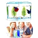 VAYINATO® Betta Fish Tank Home Aquarium, 20cm x 15cm x 9cm - Small Mini Fish Tank with 2 Compartments - Aquaponic Desktop Tank Goldfish & Betta Fish (Multi Color) By Petzlifeworld