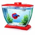 VAYINATO® Mini Transparent Acrylic Betta Fish Tank (500ML) with Mini Plastic Plants | Crystal Clear Aquarium for Betta Fish | Easy to Clean & Maintain | Home Model | Colored Stones Not Included