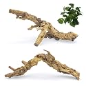 VCEPJH 2 Pack Reptile Wood Branches, Snake Climbing Branch Natural Bearded Dragon Log Tank Accessories Tree Trunk for Chameleon Gecko Snake Frog Spider
