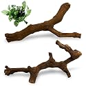 VCEPJH Ball Python Tank Accessories Reptile Branches for Snake Climbing