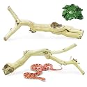 VCEPJH Snake Climbing Branch 3PCS Reptile Wood Natural Cork Log Terrarium Decor Bearded Dragon Tank Accessories Tree Trunk for Chameleon Gecko Ball Python Frog Panlong Wood (11.8-15.7in)