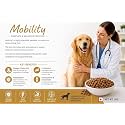 Ve-t P R 0 Mobility Dry Adult Dog Food for Joint Support, Improve Mobility & Joint Health, Promotes Healthy Immune System, Chicken Flavor - 3kg (VE-T PRO Mobility 3KG)