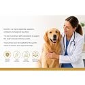 Ve-t P R 0 Mobility Dry Adult Dog Food for Joint Support, Improve Mobility & Joint Health, Promotes Healthy Immune System, Chicken Flavor - 6kg (VE-T PRO Mobility 3KG Pack of 2)