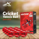 VECTOR X Heavy Weight For Players Indoor Outdoor Training,Practice, Street Match Play-Red Cricket Tennis Ball