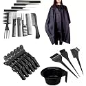 VEDETIC Hair Styling Kit with 10 Combs, 3 Coloring Brushes, 1 Mixing Bowl, 6 Alligator Clips &amp; 1 Apron For Salon And Personal Use