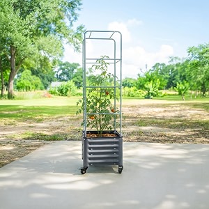Vego garden Classic Rolling Cube Tomato Planter