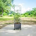 Vego garden Classic Rolling Cube Tomato Planter