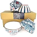 Porcelain Bowls Set, Cereal Bowls for Salad, Rice, Pasta or Soup, Large Capacity, Microwavable Ceramic Bowls, Heat and Cold Resistant, Gift Box Packed (Pack of 4)