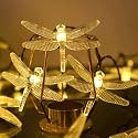 10 Led Black Lantern Fairy String Lights for Home Decoration | Festival Decor Lights Diwali Christmas | Warm White 10 Feet
