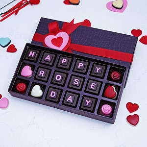 velvet fine chocolates heartfelt harmony gift box  assorted chocolates  perfect valentines gift  elegant packaging  handcrafted treats  pack of 1