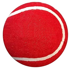 venom soft cricket tennis balls practice training for all age group recommended for indooroutdoor street amp beach cricket