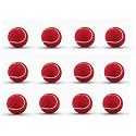 VENOM Soft Cricket Solid Tennis Balls Practice, Training for All Age Group, Recommended for Indoor/Outdoor Street &amp; Beach Cricket (Pack of Twelve) (Color : Red)
