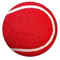 VENOM Soft Cricket Tennis Balls Practice, Training for All Age Group, Recommended for Indoor/Outdoor Street &amp; Beach Cricket