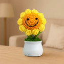 VENSA KINS Crochet Smiley Pot Handmade Knitted