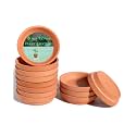 vensovo 3 Inch Terracotta Plant Saucers, 12 Pack Mini Clay Trays for Pots