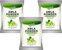 Ventina Organics Amla Indian Gooseberry Powder for Skin and hair growth (300 g)