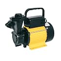 VENZO 0.5 HP Self Priming Regenerative Water Pump | Golden Series | 100% Pure Copper Winding | High-Efficiency Monoblock Motor for Home, Garden, Overhead Tank | 1-Year Manufacturer Warranty