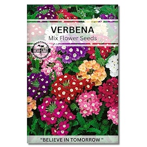 navika seeds  grow with us verbena flower seedsperfect for home amp terrace gardening winter amp summer blooms in india-includes free e-book for kitchenbackyardgardening amp planting high germination