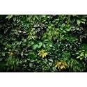 Vertical Garden Aquarium Background Lush Green Tropical Leaves Terrarium Background Living Wall Tropical Green Plants Fish Tank Background Natural Green Leaves Reptile Habitat Background 24x16in