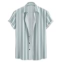 Vertical Striped Short Sleeve Casual Shirt for