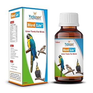 bird liv plus - birds liver tonic liver detox amp digestive supplement - 100 ml