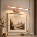 vibunt Picture Light Wall Lamp With Bulb
