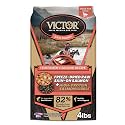 VICTOR Raw Kibble Blend - Salmon Freeze-Dried Dry Dog Food, 4 lb