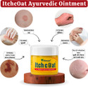 Vidhmaan ItchCoat Ayurvedic Malham for Ringworm Itching