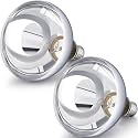 VIHOSE 2 Pack Heat Lamp Bulbs 250 Watt, R40 E26, Silver
