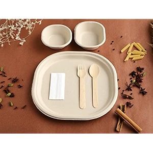 vik sugarcane bagasse disposable 10 inch plates 100 180 ml bowls 100 250 ml bowls 100 spoons 100 forks 100 napkin 100 party disposal thali brown