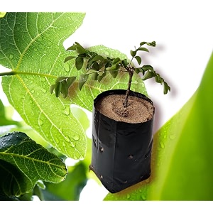 hdpe grow plant nursery bags 8 x 8 inch pack of 50 brown