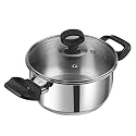 Vinod Stainless Steel Deluxe Saucepot with Glass Lid - 4 Litre, 22 cm | Biryani Pot | Riveted Sturdy Handles | Toxin Free | 2 Year Warranty | Induction and Gas Base - Silver