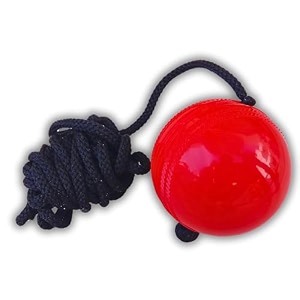 vinson synthetic hard pvc hanging cricket rope ball for match practice training - red  easy to hang amp ideal for indoor and outdoor bat knocking training  standard size for realistic experience