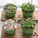 Vintage Green Metal Flower Pots Set of 4, Rustic Planters