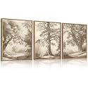 Vintage Tree Canvas Wall Art Framed Rustic Tree Landscape Sketch Antique Painting Neutral Forest Wall Decor 16x12 Inch Farmhouse Botanical Set of 3 for Living Room Bedroom