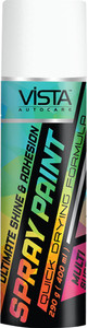 vista auto care diy acryllic spray paint bright zinc zinc spray paint 400 ml pack of 1