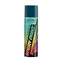 Vista Auto Care Spray Paint 400 ml (290 g) Quick Drying with Gloss finish for Metal, Wood, Walls | DIY Acrylic Spray Paint (Shifeng Blue)
