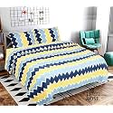 ViVAN : Era of Warmth &amp; Comfort Beautiful Floral Printed Microfiber Wrinklefree Super Soft Double Bedsheet with 2 Pillow Cover | Breathable and Skin Friendly 220x228 CM, (Sky Blue)