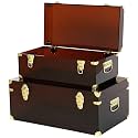 Vixdonos Acrylic Storage Chest Decorative Trunk Set of 2 Keepsake Box College Dorm Organizer with Hardware Hasps and Handle for Home Deocr,23.7X14.2X9.5 Inches,Brown