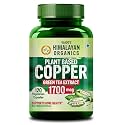 Vlado’s Himalayan Organics Plant Based Copper 1700mcg Supplement with Green Tea Extract - 120 Veg Capsules | Support Connective Tissues, Brain Health, Boost Immunity | For Men & Women