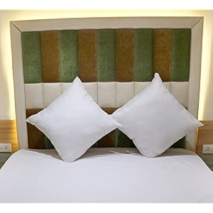 24x24 inch square pillow set of 2 premium cotton fill extra large size soft cushion filler for sofa - white