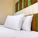 Standard Size 16x24 Inch Satin Stripe Sleeping Pillows with Cotton Fiber Fill, Pack of 2, White