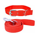 vmpets Dog collar belt with Leash 