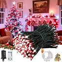 Voice Control 88Ft 240LED Christmas String Lights with Remote, Red White