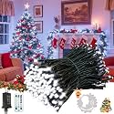 Voice Control 88Ft 240LED Christmas String Lights with Remote, Cool White